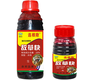 连根除